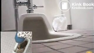 Broken toilet and pile of shit