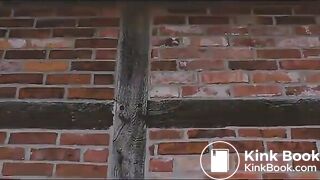 le mur de briques