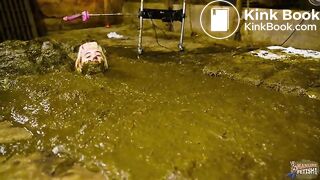 Gossip Girl Lyndra Lynn - Fucked in cowshit