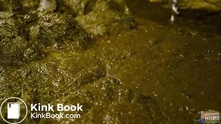 Gossip Girl Lyndra Lynn - Fucked in cowshit