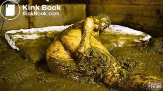 Gossip Girl Lyndra Lynn - Fucked in cowshit