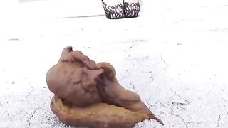 Pretty Asian girl shits outside