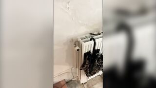 Annoymous black girls takes a shit
