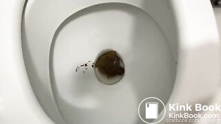 20230719_my_sweet_moans_and_poops