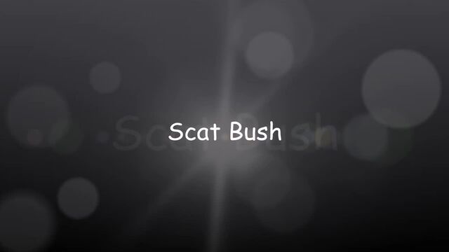 Scat Bush