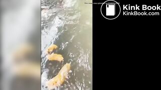 eau courante