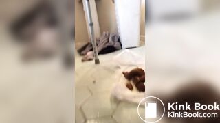 Potty Seat Shit 15