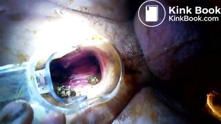 VID_20171229_041020