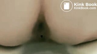 The Rookie - The Dookie