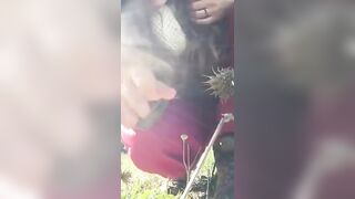 parmi les fleurs