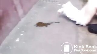 ass up pants down shitty ground