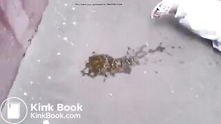 ass up pants down shitty ground