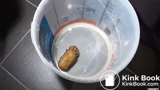 Huge  Hard turd