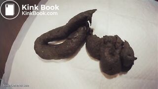 Fat Fudge Dragons