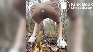 forêt l'hiver