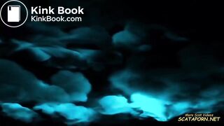 slave as toilet and ashtray