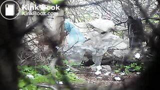 Poop in the woods