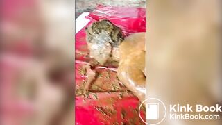 Scatsklavin Angelina 2