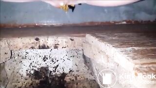 Constipated girl non stop shitting in a dirty toilet