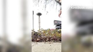 pipi caca en ville