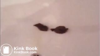 Brunette shitting in the bathtub