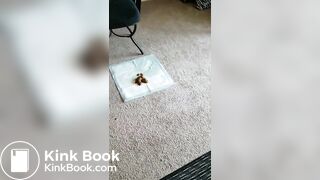 Black BBW delivers loads in multiple positions