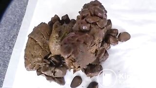 Miyoshi poops before swimming