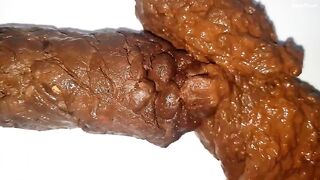 HUGE LONG POO
