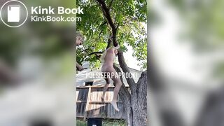 shit out of a tree