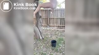 shit out of a tree