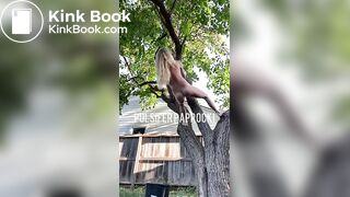 shit out of a tree
