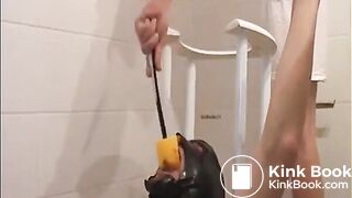 shitfeeder21 compilation