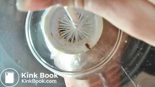 Femdom toilet chair FT1