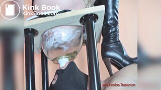 Femdom toilet chair FT2