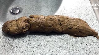 Black Bean Burrito Shit