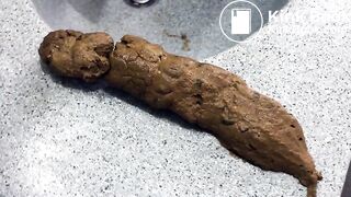 Black Bean Burrito Shit