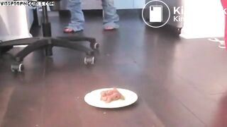 scat