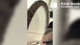 SEVEN HOT ALPHA MASTERS SHITTING