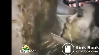 Honey Bee Eats Shit Covered Cock, Ass & Feet