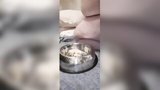fat pig eats shitty banana