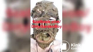 Scat pig eating shit
