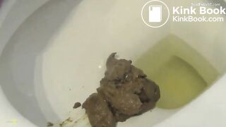 A Big Pile Of Shit In The Toilet