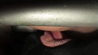 Turds For a Hungry Mouth