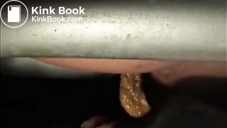 Turds For a Hungry Mouth