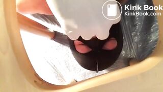 new feeder