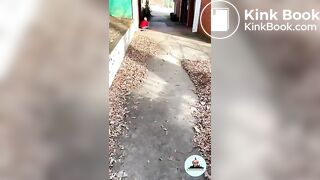 Outdoor Feeding