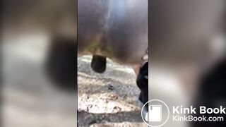 Local poop - Dirty Scat Friends