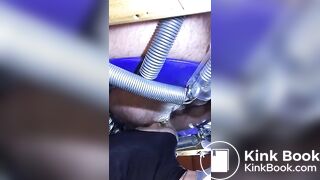 le cochon mange de la merde