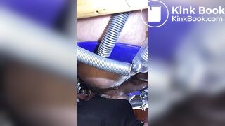 le cochon mange de la merde