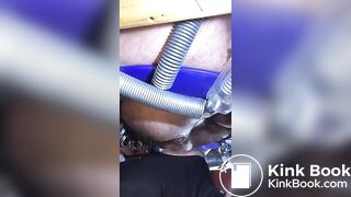 le cochon mange de la merde